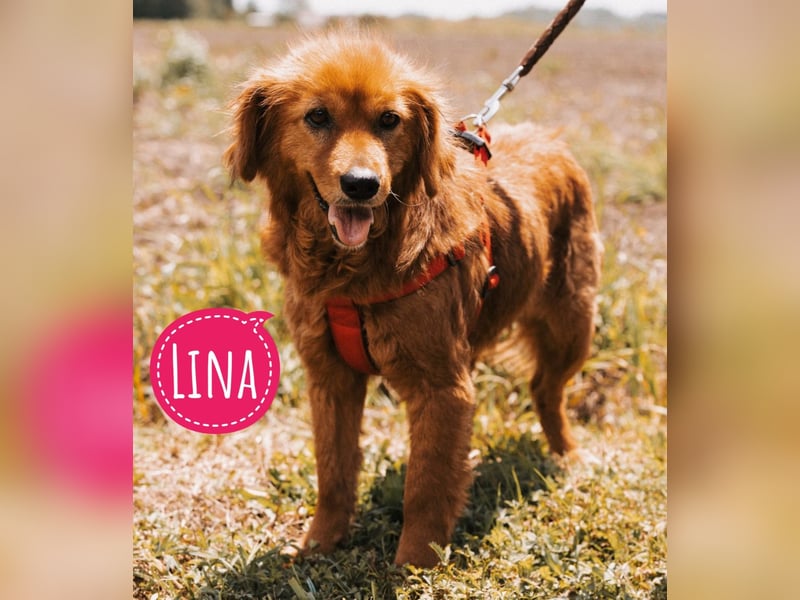 Lina ein braves dankbares Mädchen