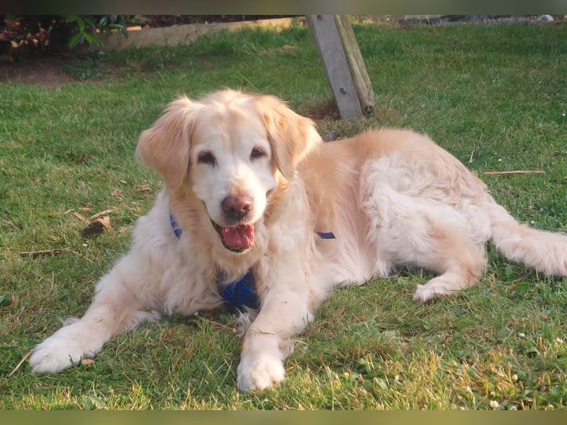 KIRA - Seniorin mit Charme