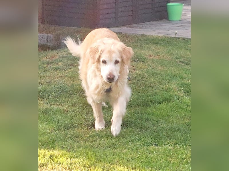 KIRA - Seniorin mit Charme