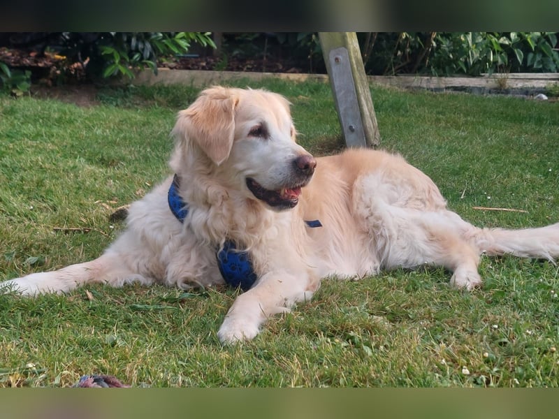 KIRA - Seniorin mit Charme