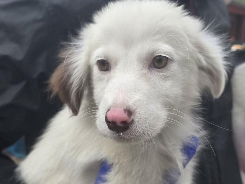 Monia und Mara: zwei kleine Engel