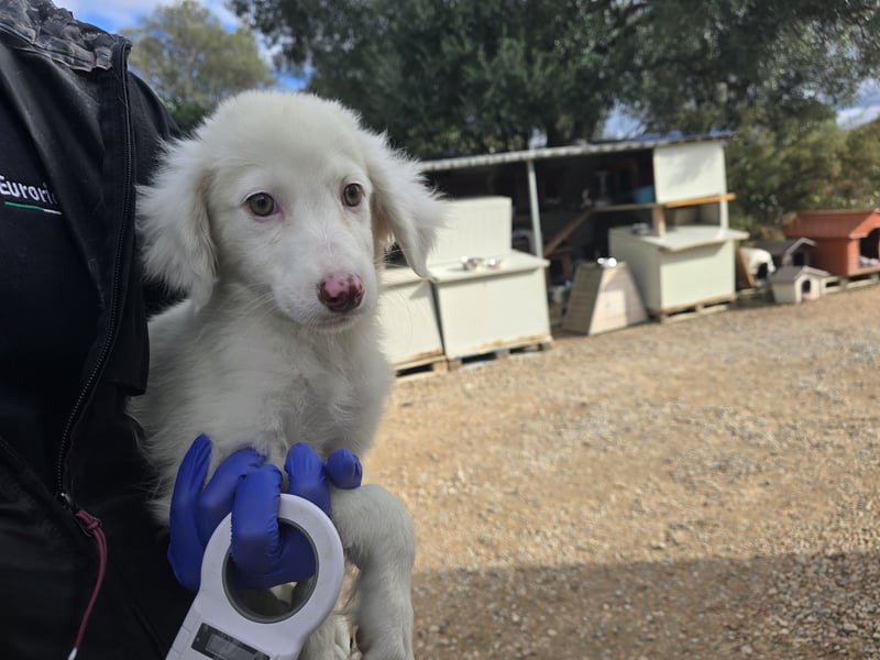 Monia und Mara: zwei kleine Engel