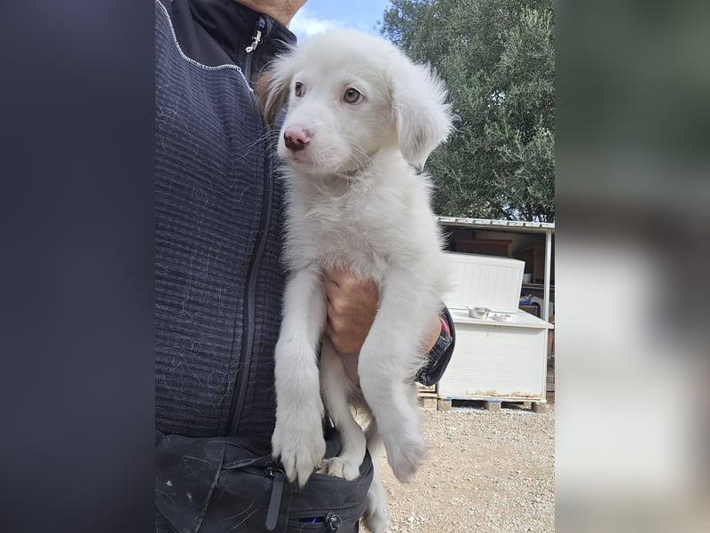 Monia und Mara: zwei kleine Engel