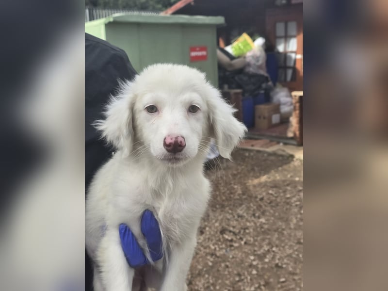 Monia und Mara: zwei kleine Engel