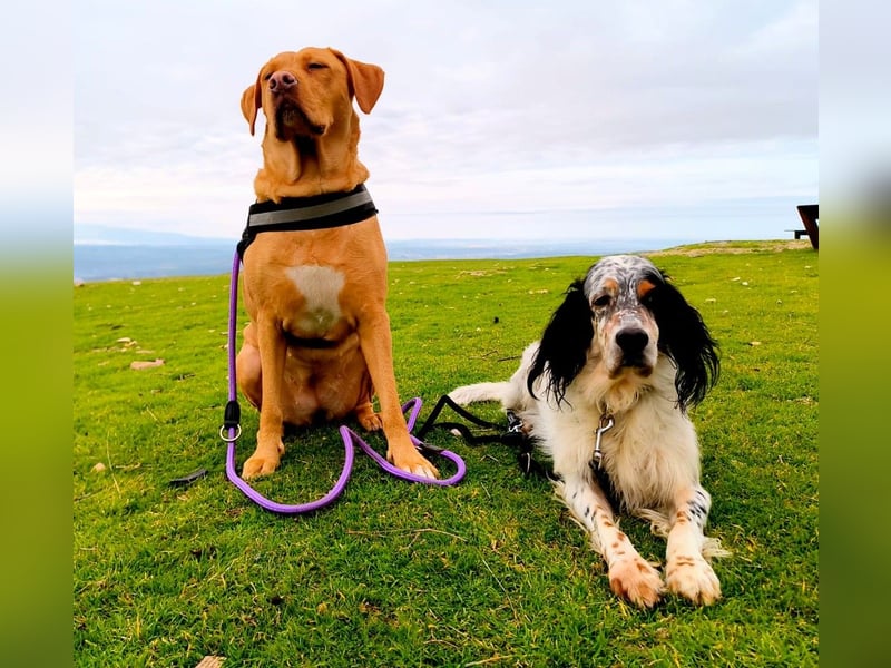 STELLA wird dein Herz im Sturm erobern!