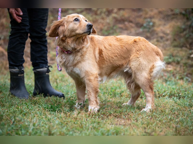 Lorne