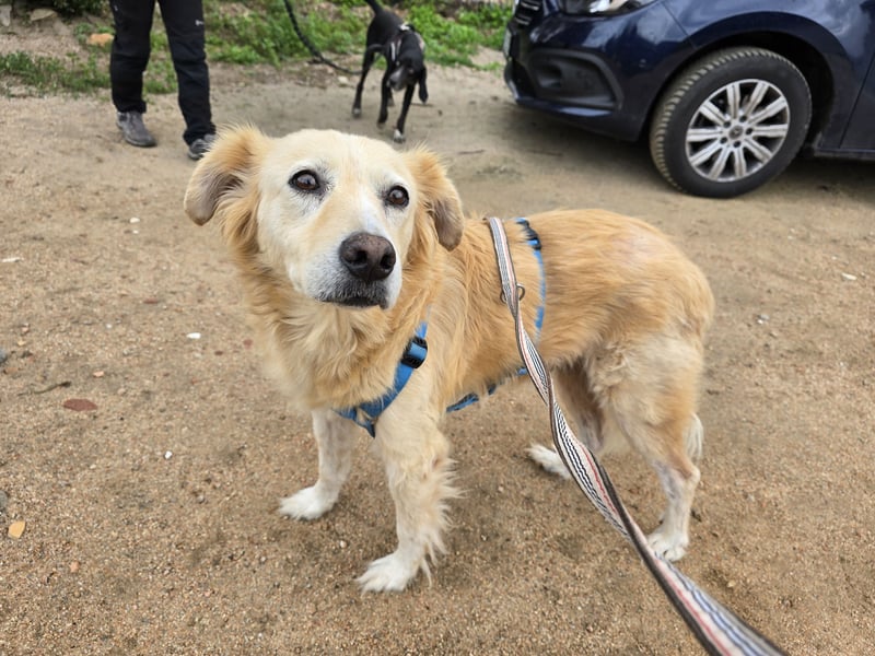 Tom: seine letzte Zeit ist angebrochen