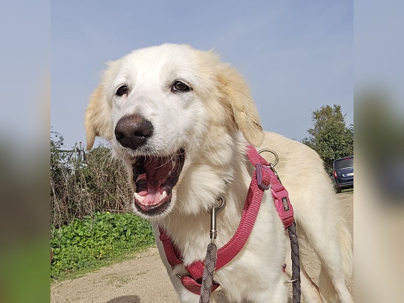 Tesorina: einfach unwiderstehlich