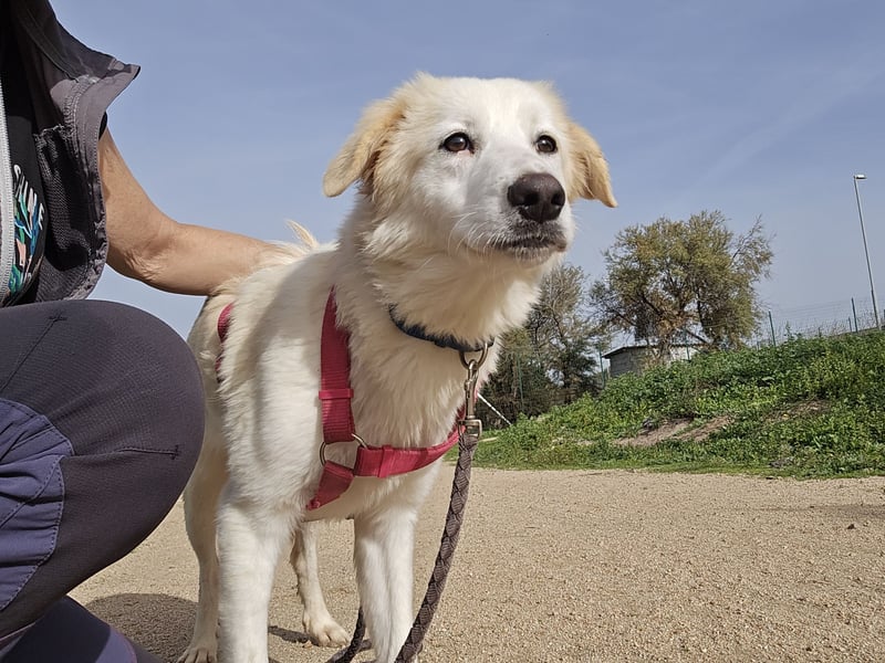 Tesorina: einfach unwiderstehlich