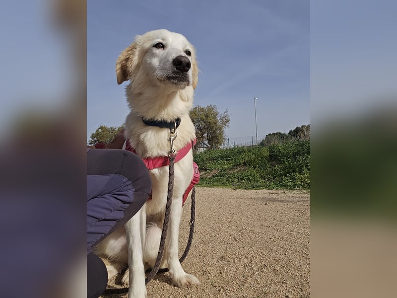 Tesorina: einfach unwiderstehlich