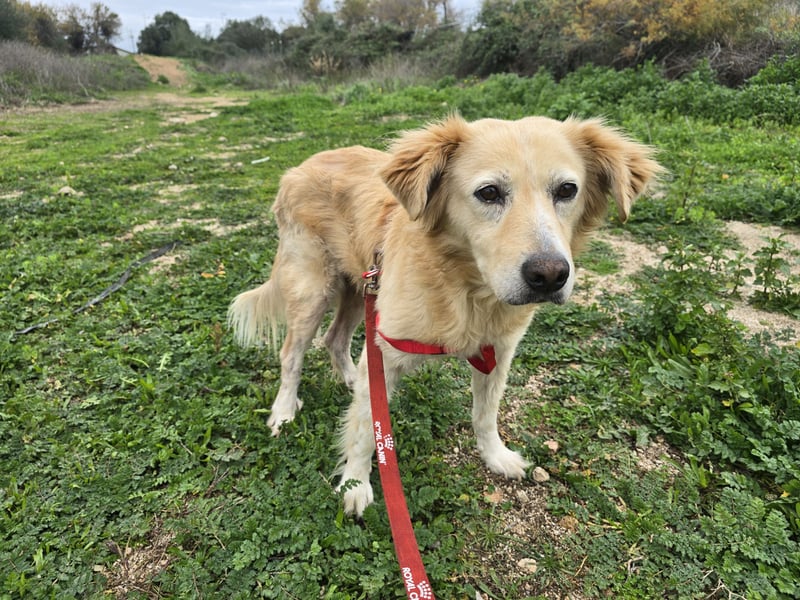 Tom: seine letzte Zeit ist angebrochen