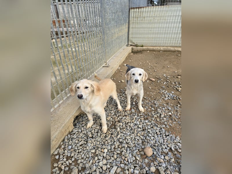 Cameron: bereit für das Abenteuer Leben