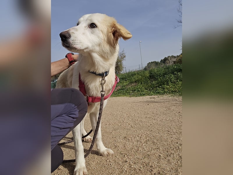 Tesorina: einfach unwiderstehlich