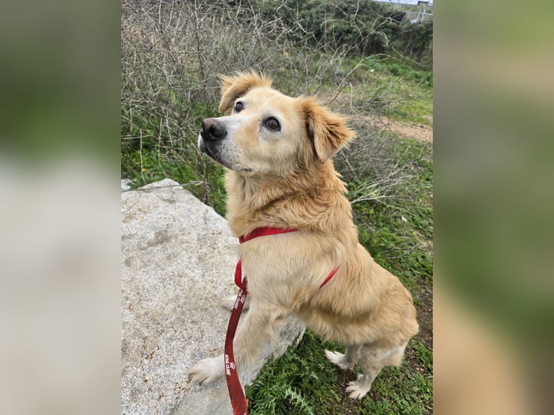 Tom: seine letzte Zeit ist angebrochen