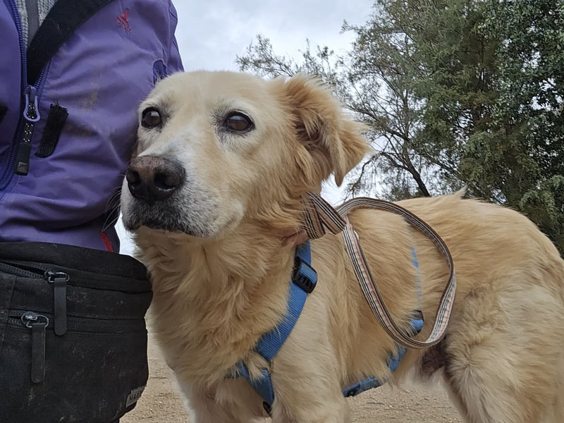 Tom: seine letzte Zeit ist angebrochen