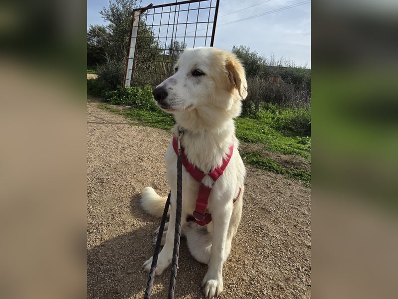 Tesorina: einfach unwiderstehlich