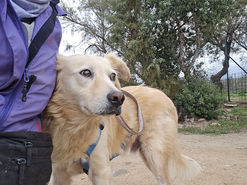 Tom: seine letzte Zeit ist angebrochen