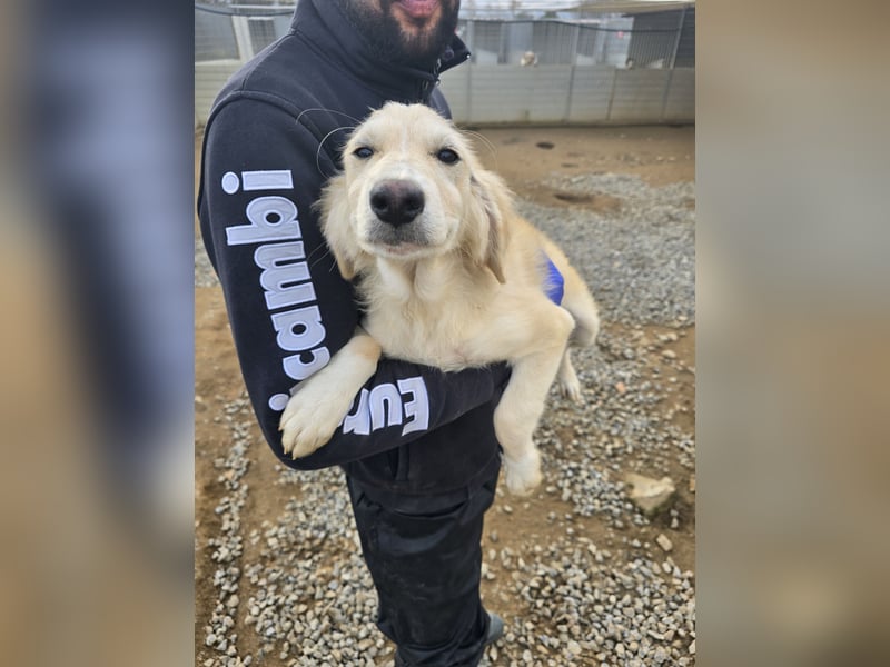 Cameron: bereit für das Abenteuer Leben