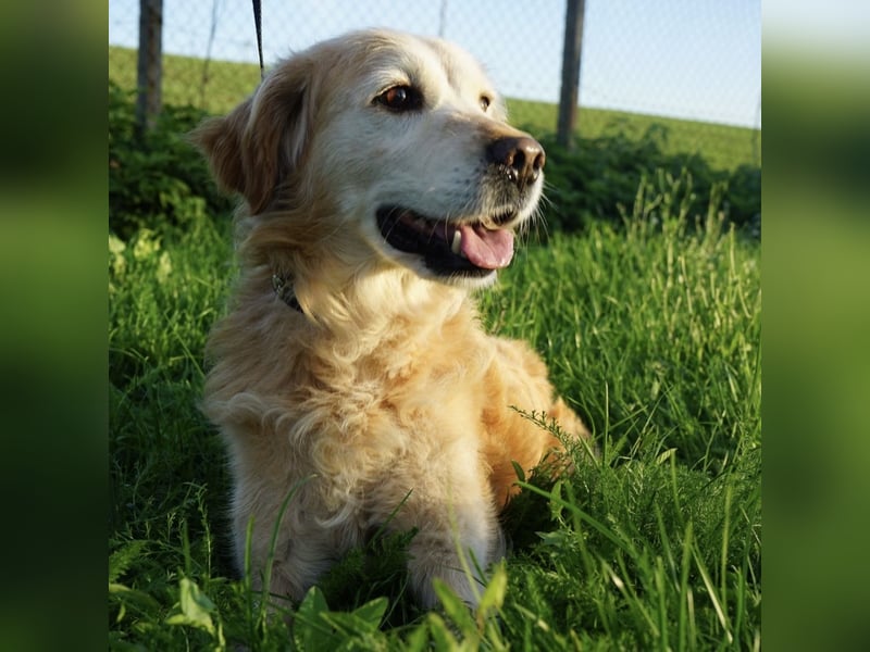 Marley ein Prinz