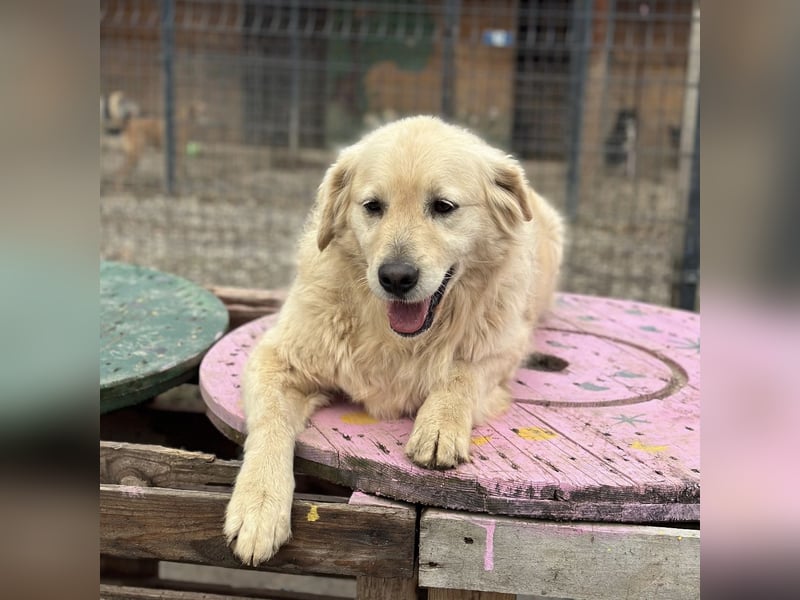 Marta die wundervollste Seele