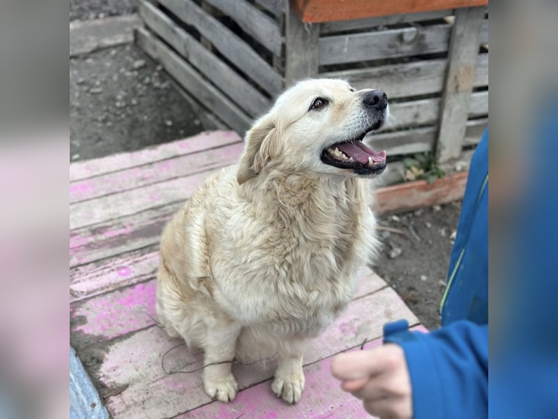 Marta die wundervollste Seele