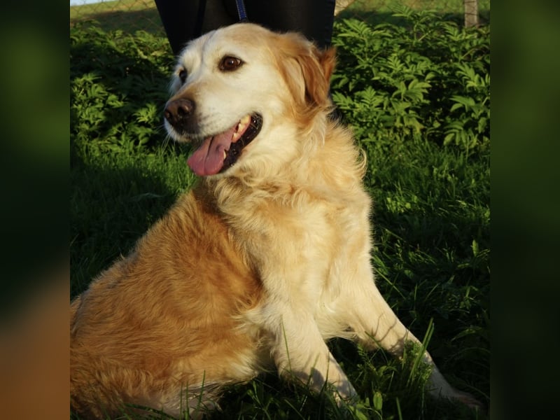 Marley ein Prinz