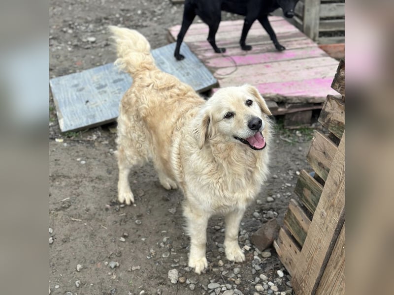 Marta die wundervollste Seele