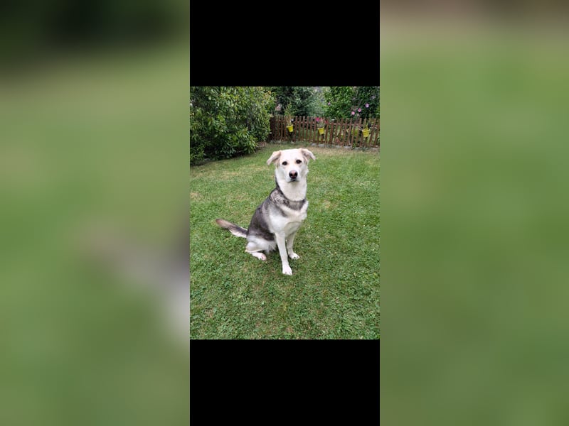  Emma sucht ihr Für-Immer-Zuhause!