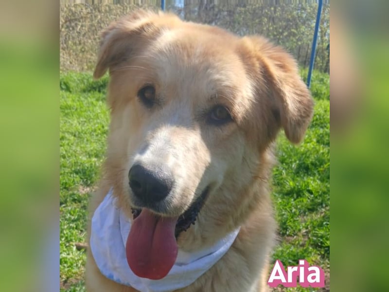 Aria, 12/24, GR – sucht ihr Happy End