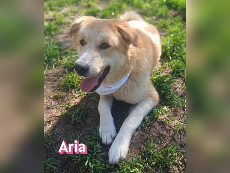 Aria, 12/24, GR – sucht ihr Happy End