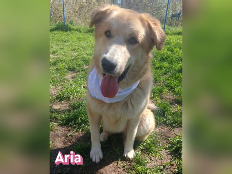 Aria, 12/24, GR – sucht ihr Happy End