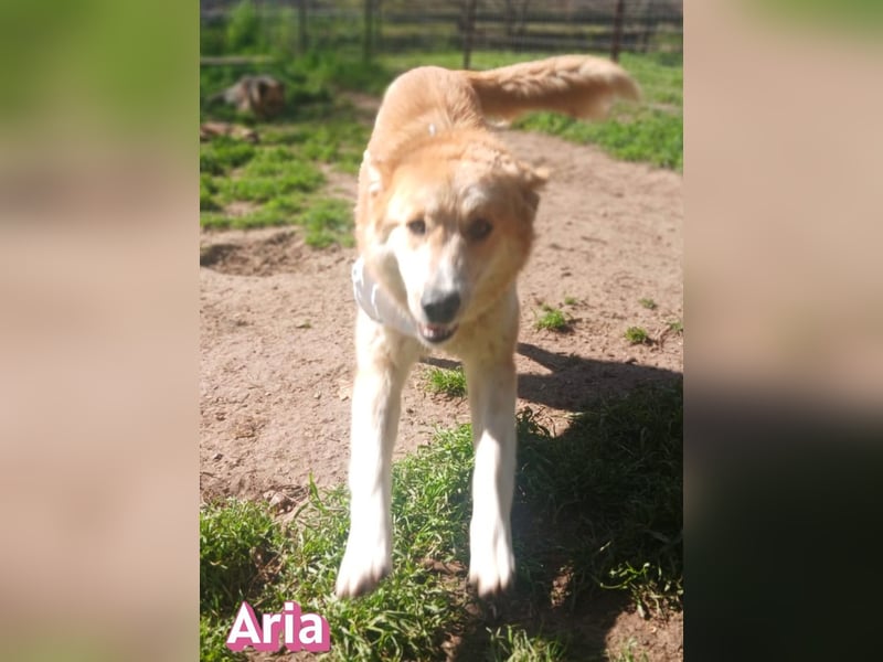 Aria, 12/24, GR – sucht ihr Happy End