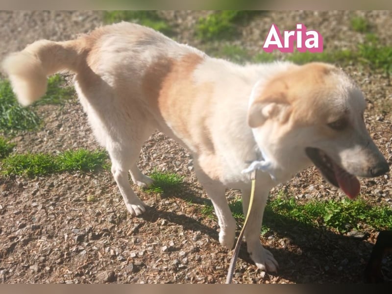 Aria, 12/24, GR – sucht ihr Happy End