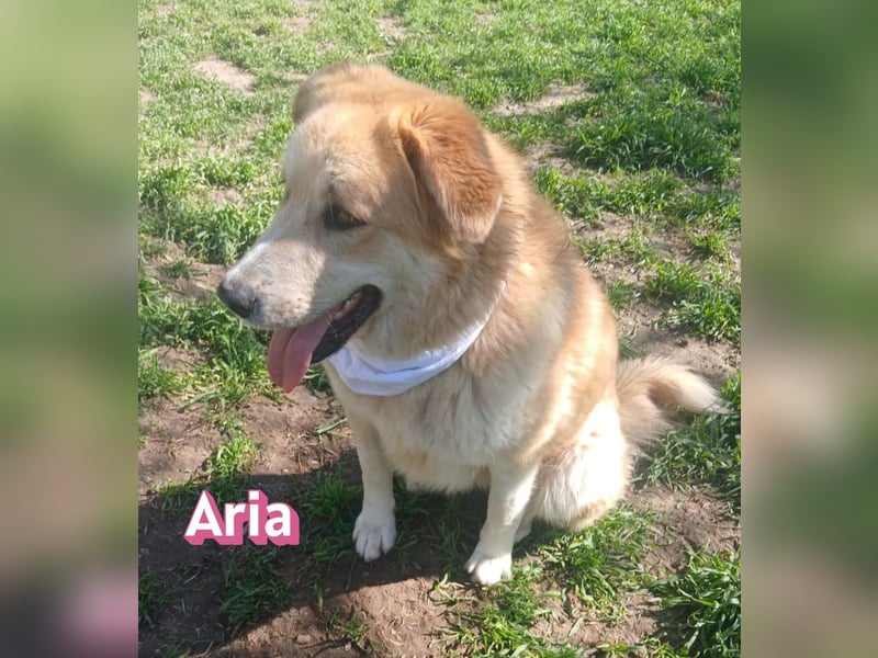 Aria, 12/24, GR – sucht ihr Happy End