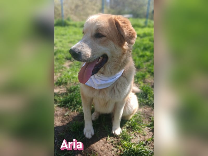 Aria, 12/24, GR – sucht ihr Happy End
