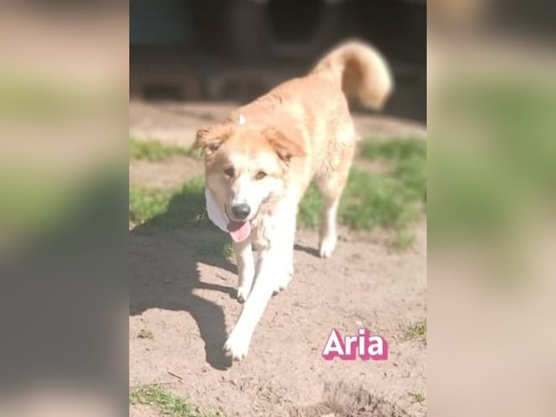 Aria, 12/24, GR – sucht ihr Happy End