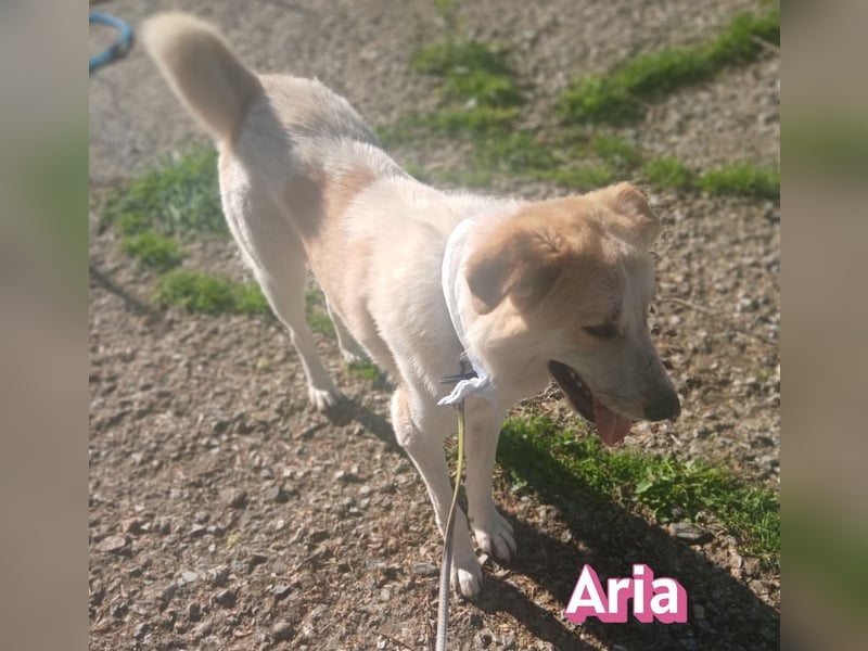 Aria, 12/24, GR – sucht ihr Happy End