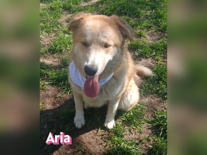 Aria, 12/24, GR – sucht ihr Happy End