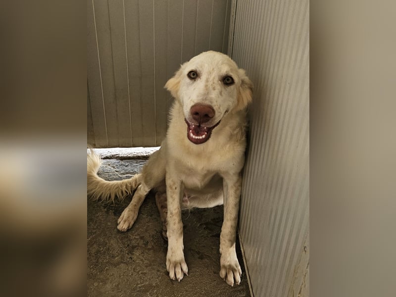 Milo: freut sich auf Besuch in NRW