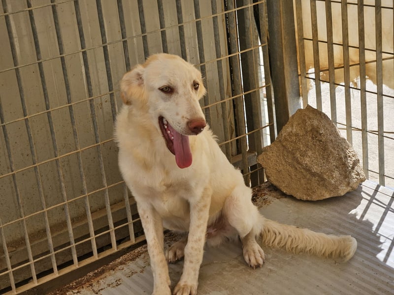 Milo: freut sich auf Besuch in NRW