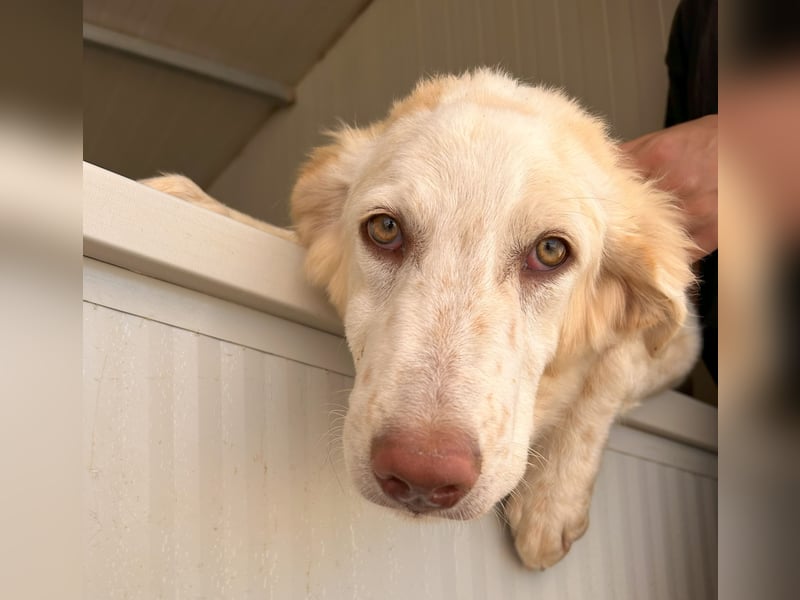Milo: freut sich auf Besuch in NRW