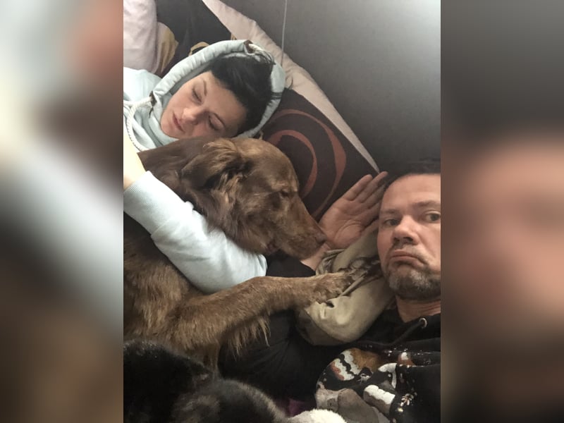 Deckrüde Bruno (7 Jahre) sucht liebevolle Partnerin – wir wünschen uns einen Welpen von ihm