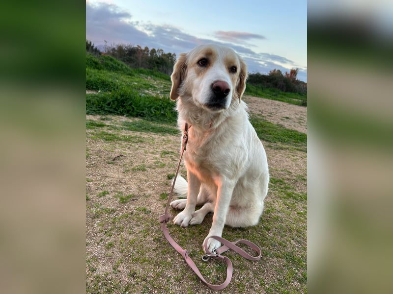 Naya: plötzlich einsam und allein