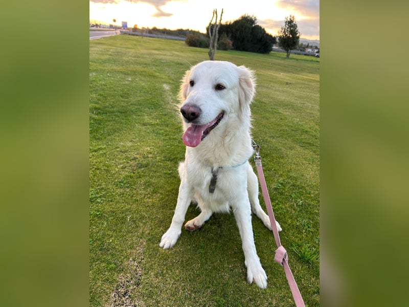 Naya: plötzlich einsam und allein