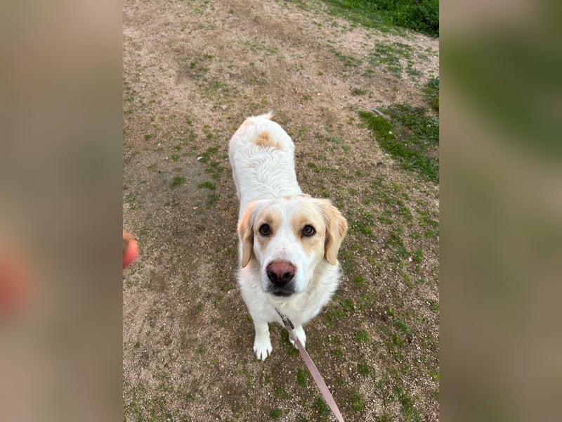 Naya: plötzlich einsam und allein