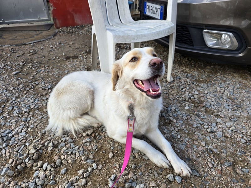 Naya: plötzlich einsam und allein