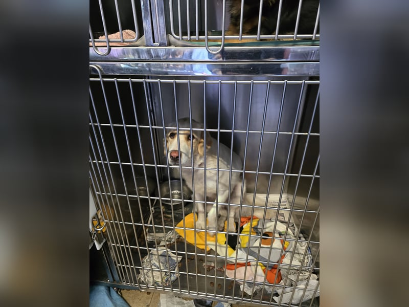 Naya: plötzlich einsam und allein