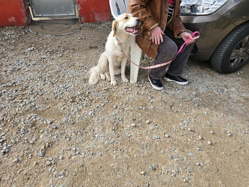 Naya: plötzlich einsam und allein