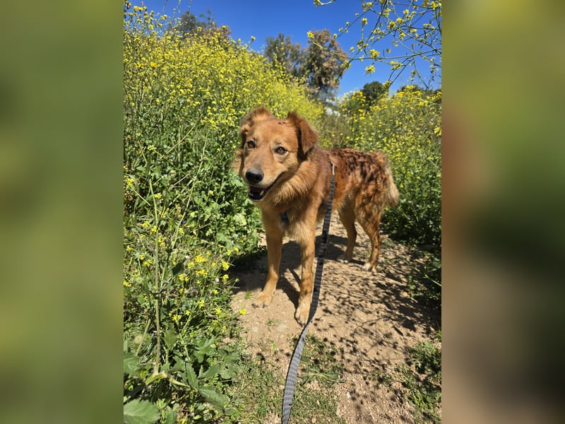 Rufus: Rettung in letzter Sekunde