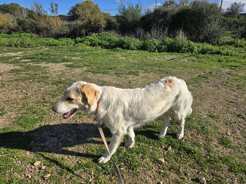 Naya: plötzlich einsam und allein